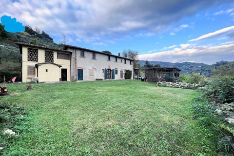 Landejendom i Massa E Cozzile, Pistoia, Massa E Cozzile - € 370.000 | Ref: 1693 - foto 1