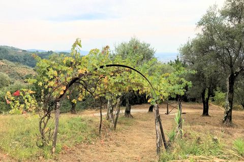 Landejendom i Massa E Cozzile, Pistoia, Massa E Cozzile - € 370.000 | Ref: 1693 - foto 8
