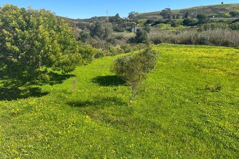 Bungalow i Budens, Faro, Budens - € 695.000 | Ref: 10456 - foto 19