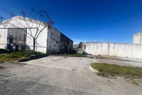 Erhvervsejendom i Beja, Beja, Beja - € 380.000 | Ref: OR98919EW - foto 5