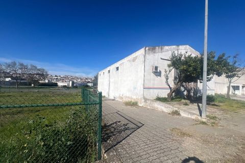 Erhvervsejendom i Beja, Beja, Beja - € 380.000 | Ref: OR98919EW - foto 6