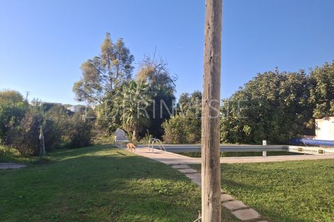 Farm i Beja, Beja, Beja - € 690.000 | Ref: Q2084 - foto 21