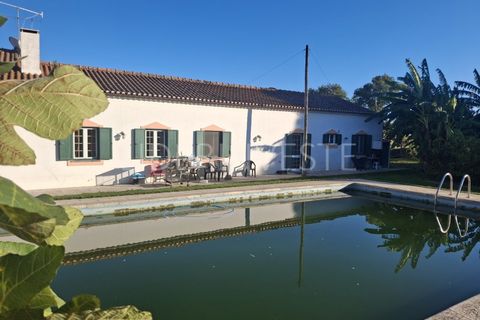 Farm i Beja, Beja, Beja - € 690.000 | Ref: Q2084 - foto 2