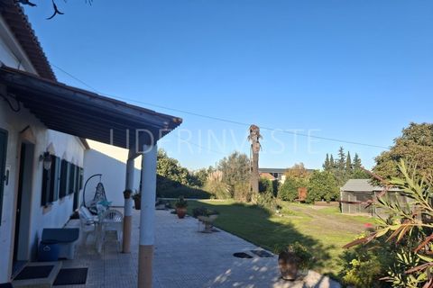 Farm i Beja, Beja, Beja - € 690.000 | Ref: Q2084 - foto 5