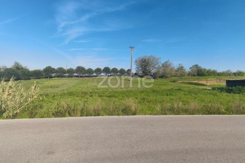 Helårsgrund i Leiria, Leiria, Leiria - € 75.000 | Ref: ZMPT587014 - foto 3