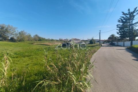 Helårsgrund i Leiria, Leiria, Leiria - € 75.000 | Ref: ZMPT587014 - foto 5