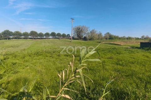 Helårsgrund i Leiria, Leiria, Leiria - € 75.000 | Ref: ZMPT587014 - foto 6