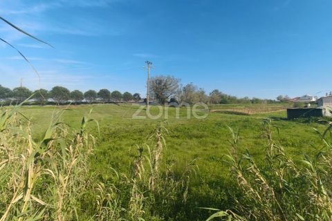 Helårsgrund i Leiria, Leiria, Leiria - € 75.000 | Ref: ZMPT587014 - foto 7