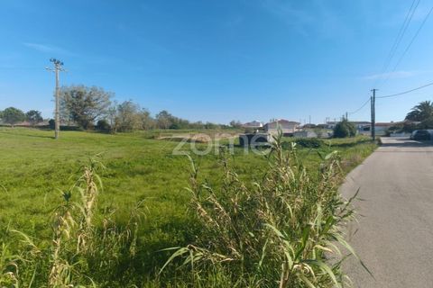 Helårsgrund i Leiria, Leiria, Leiria - € 75.000 | Ref: ZMPT587014 - foto 8