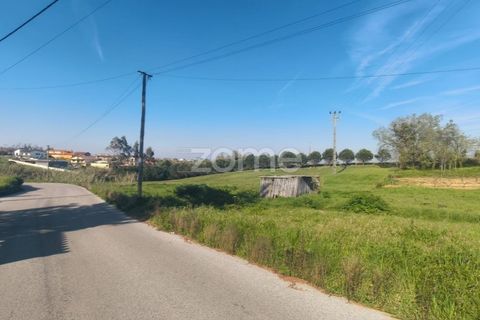 Helårsgrund i Leiria, Leiria, Leiria - € 75.000 | Ref: ZMPT587014 - foto 9