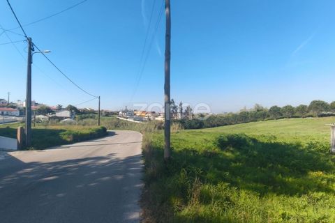 Helårsgrund i Leiria, Leiria, Leiria - € 75.000 | Ref: ZMPT587014 - foto 10