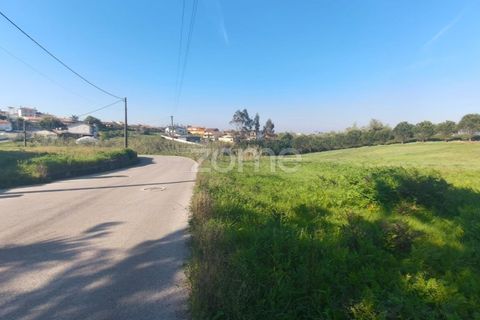 Helårsgrund i Leiria, Leiria, Leiria - € 75.000 | Ref: ZMPT587014 - foto 11