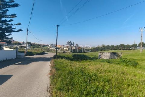 Helårsgrund i Leiria, Leiria, Leiria - € 75.000 | Ref: ZMPT587014 - foto 12