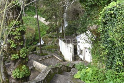 Helårsgrund i Leiria, Leiria, Leiria - € 75.000 | Ref: ZMPT587014 - foto 16