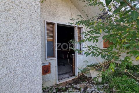 Villa i Torres Novas, Santarem, Torres Novas - € 231.500 | Ref: ZMPT586676 - foto 6
