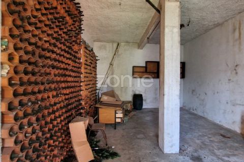 Villa i Torres Novas, Santarem, Torres Novas - € 231.500 | Ref: ZMPT586676 - foto 7