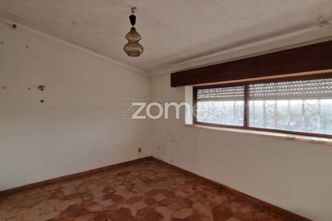 Villa i Torres Novas, Santarem, Torres Novas - € 231.500 | Ref: ZMPT586676 - foto 17