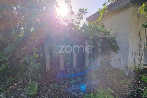 Villa i Torres Novas, Santarem, Torres Novas - € 231.500 | Ref: ZMPT586676 - foto 35