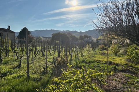 Grond in Cornas, Ardeche, Cornas - € 109.000 | Ref: RG-CORNAS - foto 2
