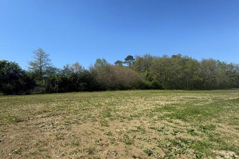 Terra a Monestier, Dordogne, Monestier - € 15.300 | Ref: BEJG266 - foto 2