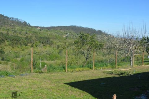 Villa i Pombal, Leiria, Pombal - € 272.000 | Ref: P204/2026 - foto 14