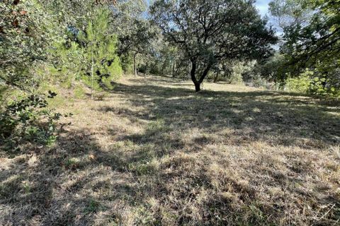 Terra a Piolenc, Vaucluse, Piolenc - € 348.000 | Ref: VT061-CARMENIER - foto 3