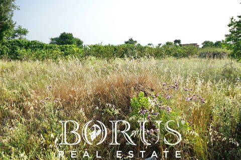 Terra a Frignano, Caserta, Frignano - € 50.000 | Ref: BR235 - foto 2
