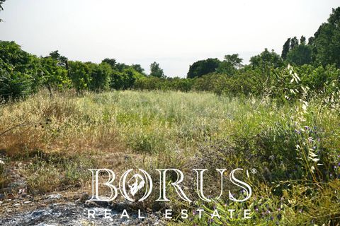 Terra a Frignano, Caserta, Frignano - € 50.000 | Ref: BR235 - foto 3