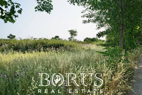 Terra a Frignano, Caserta, Frignano - € 50.000 | Ref: BR235 - foto 4