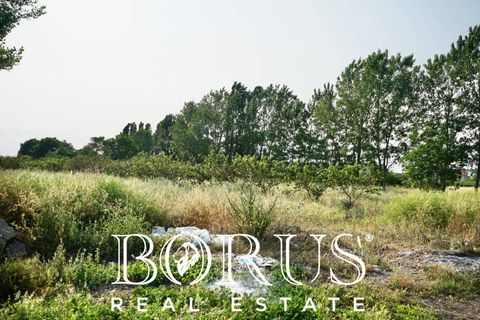 Terra a Frignano, Caserta, Frignano - € 50.000 | Ref: BR235 - foto 5