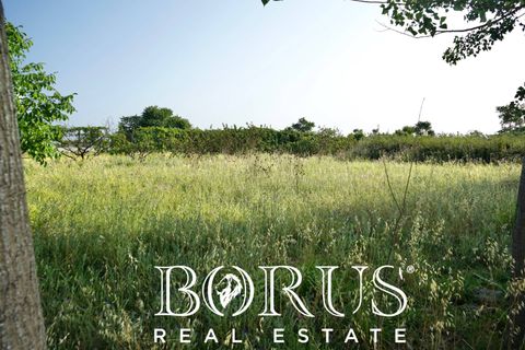 Terra a Frignano, Caserta, Frignano - € 50.000 | Ref: BR235 - foto 6