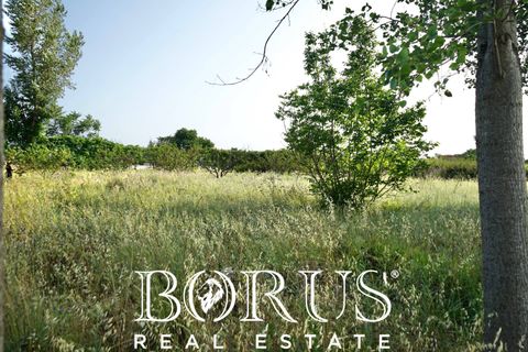 Terra a Frignano, Caserta, Frignano - € 50.000 | Ref: BR235 - foto 7