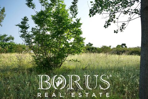 Terra a Frignano, Caserta, Frignano - € 50.000 | Ref: BR235 - foto 8
