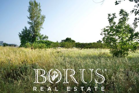 Terra a Frignano, Caserta, Frignano - € 50.000 | Ref: BR235 - foto 9
