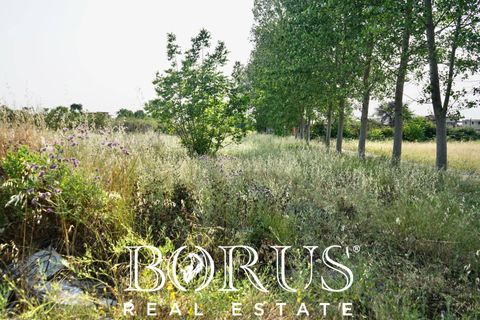 Terra a Frignano, Caserta, Frignano - € 50.000 | Ref: BR235 - foto 11