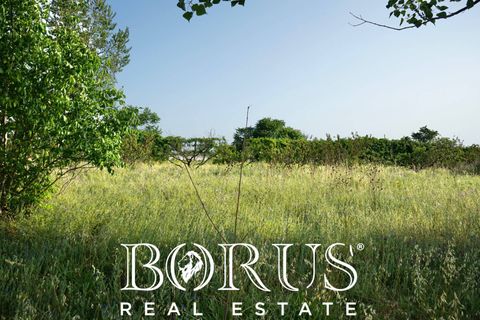 Terra a Frignano, Caserta, Frignano - € 50.000 | Ref: BR235 - foto 12