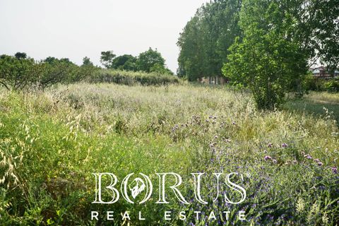 Terra a Frignano, Caserta, Frignano - € 50.000 | Ref: BR235 - foto 13