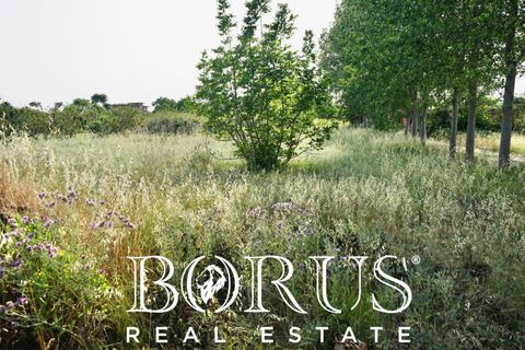 Terra a Frignano, Caserta, Frignano - € 50.000 | Ref: BR235 - foto 14