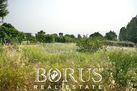 Terra a Frignano, Caserta, Frignano - € 50.000 | Ref: BR235 - foto 15