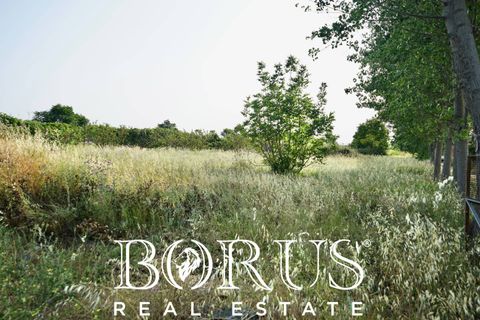 Terra a Frignano, Caserta, Frignano - € 50.000 | Ref: BR235 - foto 16