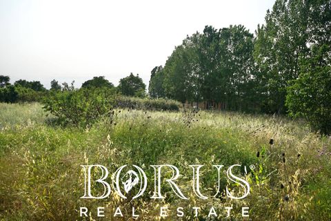 Terra a Frignano, Caserta, Frignano - € 50.000 | Ref: BR235 - foto 17