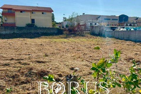 Tomt i Castel Volturno, Caserta, Castel Volturno - € 25 000 | Ref: BR264 - foto 7