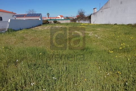 Tomt i Alpiarca, Santarem, Alpiarca - € 55 000 | Ref: TERR4470 - foto 10