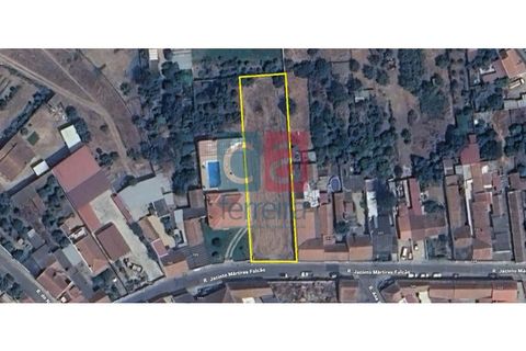 Tomt i Alpiarca, Santarem, Alpiarca - € 55 000 | Ref: TERR4470 - foto 2