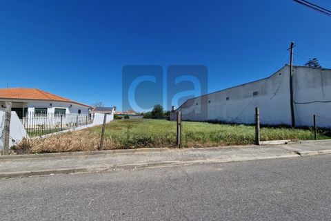 Tomt i Alpiarca, Santarem, Alpiarca - € 55 000 | Ref: TERR4470 - foto 3
