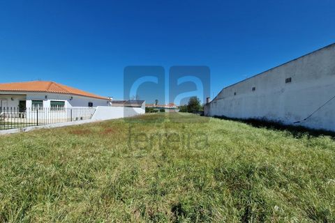 Tomt i Alpiarca, Santarem, Alpiarca - € 55 000 | Ref: TERR4470 - foto 5