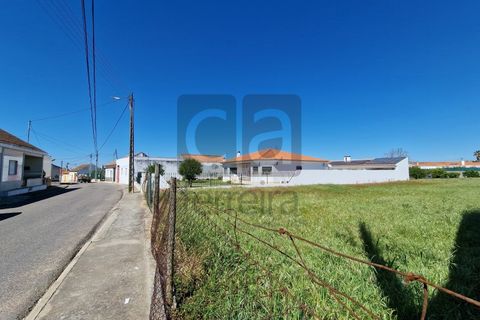 Tomt i Alpiarca, Santarem, Alpiarca - € 55 000 | Ref: TERR4470 - foto 6