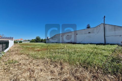 Tomt i Alpiarca, Santarem, Alpiarca - € 55 000 | Ref: TERR4470 - foto 7