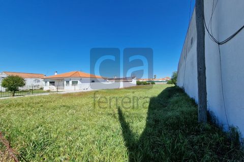 Tomt i Alpiarca, Santarem, Alpiarca - € 55 000 | Ref: TERR4470 - foto 8
