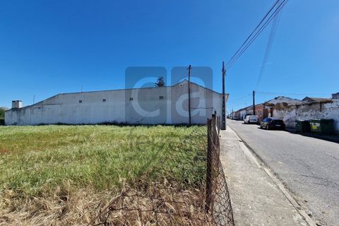 Tomt i Alpiarca, Santarem, Alpiarca - € 55 000 | Ref: TERR4470 - foto 9